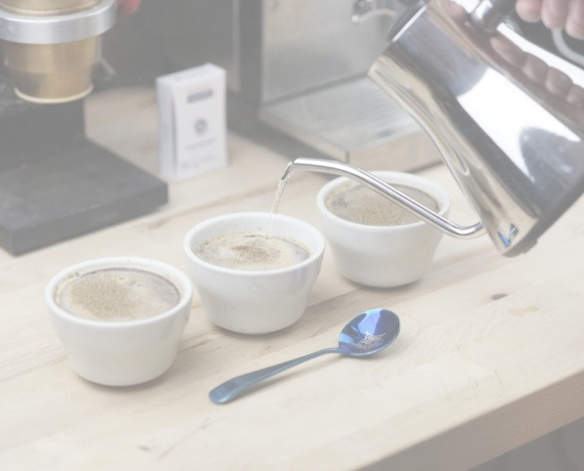 Calibrated Water for Cupping White Paper